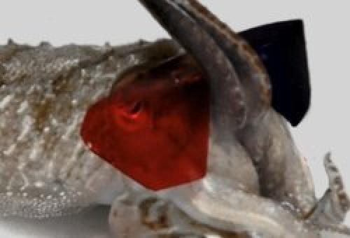 Каждую минуту рождается человек. 10 вещей, происходящих каждую секунду на Земле