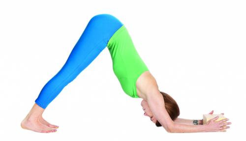 Базовые асаны для начинающих. Основы 03 Базовые асаны для начинающих. Основы 03