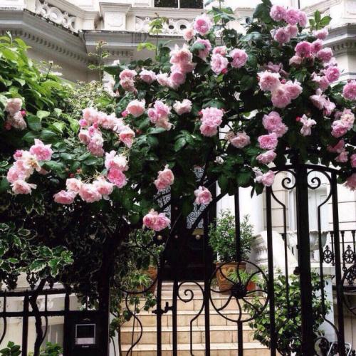 Живу не своей жизнью эзотерика. Как изменить всё, если живёшь не «своей жизнью»?