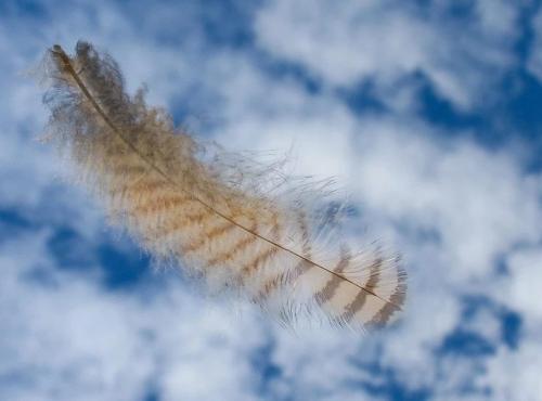 Во что можно поиграть на улице. Во что поиграть с друзьями: интересные игры