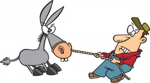 Успешная сепарация от родителей. Пять правил успешной сепарации от родителей 04