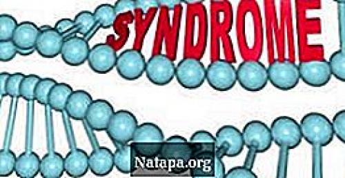 Что означает синдром. Значение слова «синдром» 01