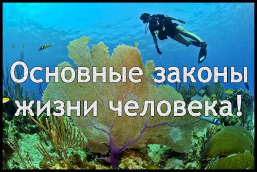 25 законов жизни. 12 законов жизни, которые действительно работают, даже если вы в них не верите 01 25 законов жизни. 12 законов жизни, которые действительно работают, даже если вы в них не верите 01