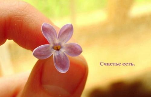 В чем секрет счастья человека? Помехи на пути к счастью 06