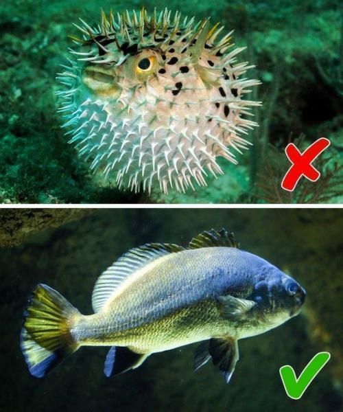 12 основных законов жизни, которые нужно соблюдать всем 13