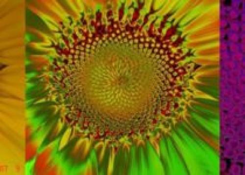 Анализ репертуарных решеток. 