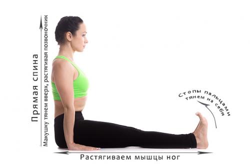 Поза посоха дандасана в йоге: выполнение и польза