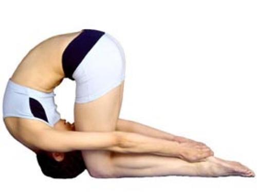 Йога для женских гормонов. Женская йога для уравновешивания гормонов