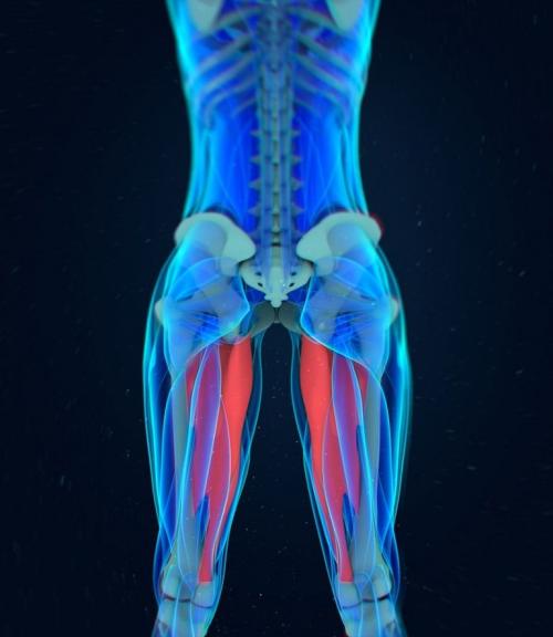 Поза йоги скорпион. Поза скорпиона в йоге для начинающих 04