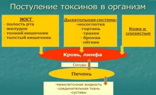 Солодка и Энтеросгель вред. Очищение лимфы солодкой и энтеросгелем: отзывы врачей и пострадавших