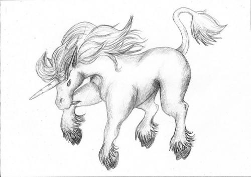 Единорог рисунок. Картинки и рисунки единорогов для срисовки