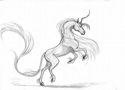 Единорог рисунок. Картинки и рисунки единорогов для срисовки