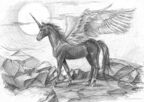 Единорог рисунок. Картинки и рисунки единорогов для срисовки