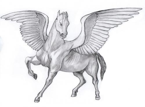 Единорог рисунок. Картинки и рисунки единорогов для срисовки