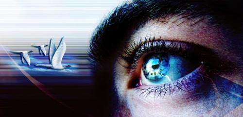 5 законов притяжения счастья, которые должен знать каждый