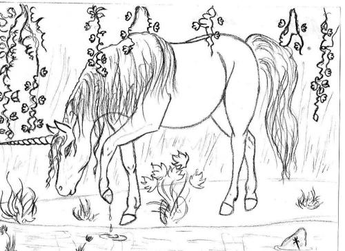 Единорог рисунок. Картинки и рисунки единорогов для срисовки