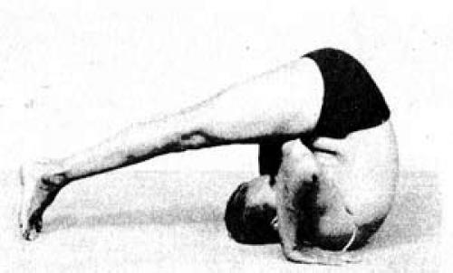 84 асаны. Сколько асан в йоге и про Путаницу в названиях йогических поз