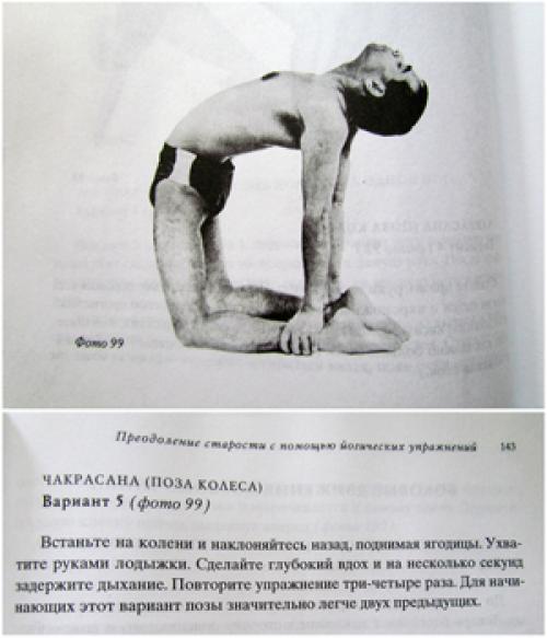 84 асаны. Сколько асан в йоге и про Путаницу в названиях йогических поз
