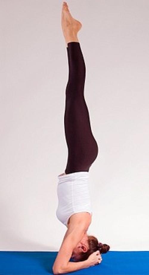 Польза перевернутых асан для женщин. Перевернутые позы в йоге: польза на физическом уровне