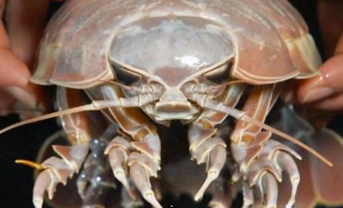 12 удивительных преимуществ йоги для здоровья женщины. Что такое и откуда 13