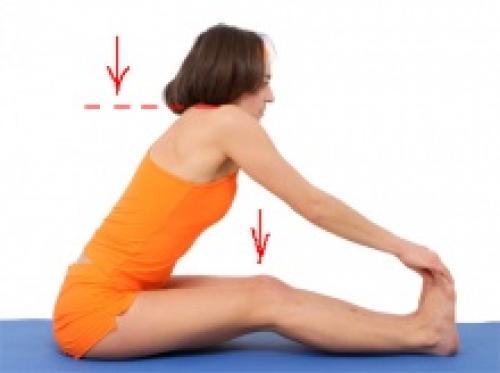 Наклон стоя к прямым ногам. Складка к ногам стоя, Уттанасана, Пада Хастасана 05