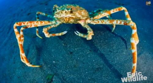 12 удивительных преимуществ йоги для здоровья женщины. Что такое и откуда 11