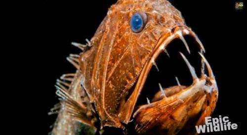 12 удивительных преимуществ йоги для здоровья женщины. Что такое и откуда 04