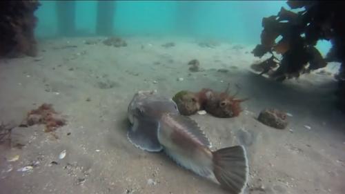 12 удивительных преимуществ йоги для здоровья женщины. Что такое и откуда 10