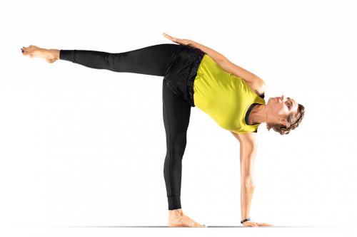 Комплекс асан на все группы мышц. Как правильно организовать занятия йогой для начинающих? 01