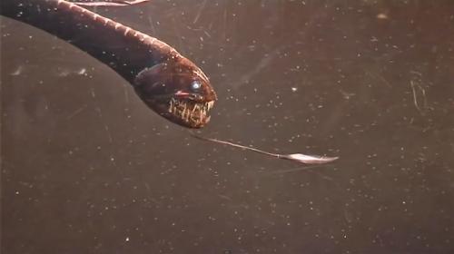 12 удивительных преимуществ йоги для здоровья женщины. Что такое и откуда 07