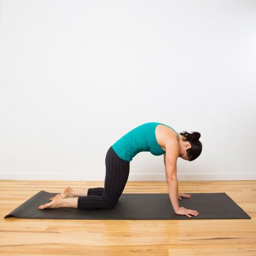 Комплекс асан на все группы мышц. Как правильно организовать занятия йогой для начинающих? 14