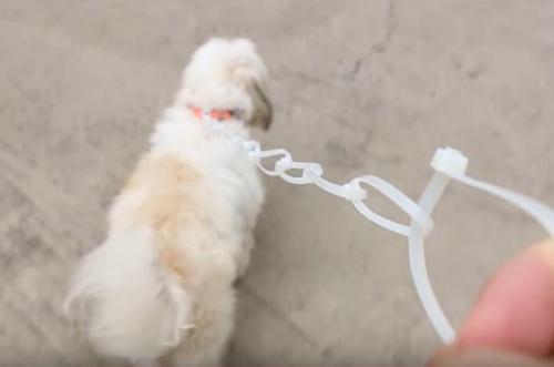 12 удивительных преимуществ йоги для здоровья женщины. Что такое и откуда 27