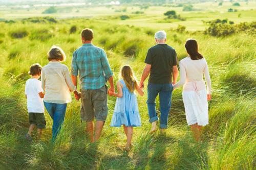 Техника гармонизации отношений с родителями рами блект. 