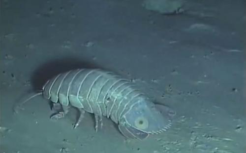 12 удивительных преимуществ йоги для здоровья женщины. Что такое и откуда 12