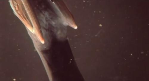 12 удивительных преимуществ йоги для здоровья женщины. Что такое и откуда 03