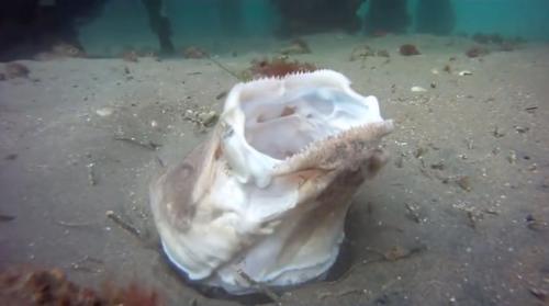 12 удивительных преимуществ йоги для здоровья женщины. Что такое и откуда 09