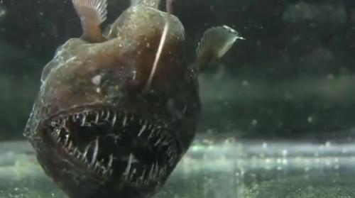 12 удивительных преимуществ йоги для здоровья женщины. Что такое и откуда 08