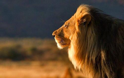 Я знаю чего я хочу в этом мире вещей. 30 невероятно красивых и мудрых цитат, которые стоит запомнить