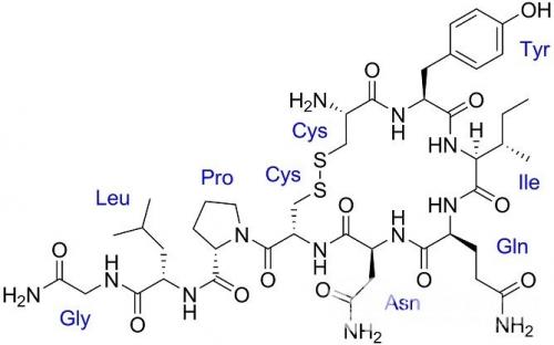 Гормон окситоцин картинки