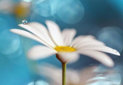 Счастье внутри нас цитаты. 40 невероятно красивых и мудрых цитат про счастье и любовь