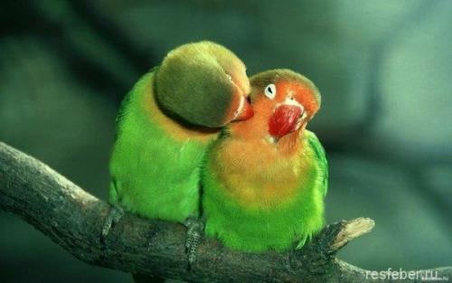 Счастье внутри нас цитаты. 40 невероятно красивых и мудрых цитат про счастье и любовь