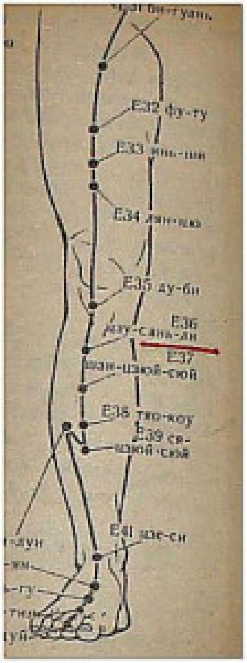 Точки здоровья. Точка долголетия и здоровья Цзу-сань-ли