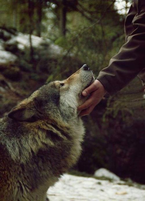 Я знаю чего я хочу в этом мире вещей. 30 невероятно красивых и мудрых цитат, которые стоит запомнить