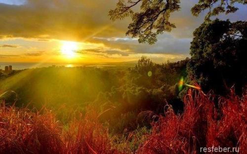 Счастье внутри нас цитаты. 40 невероятно красивых и мудрых цитат про счастье и любовь