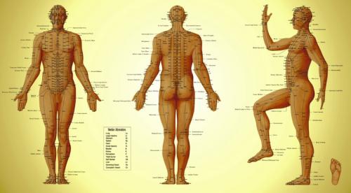 Точка молодости. Точка долголетия и точки лечения и профилактики ста болезней