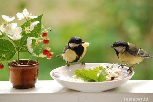 Счастье внутри нас цитаты. 40 невероятно красивых и мудрых цитат про счастье и любовь