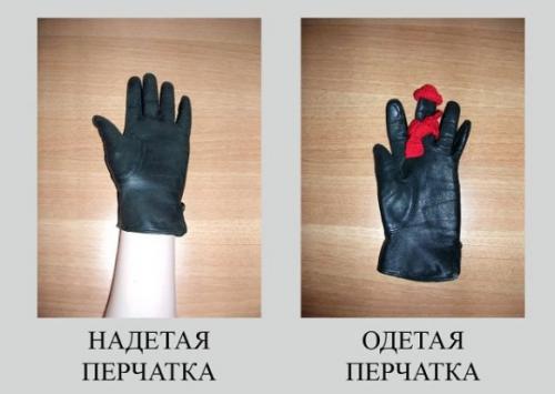 Как правильно говорить. Говорим правильно и красиво: проверьте себя!