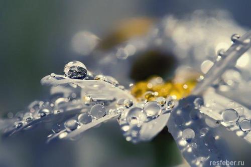 Счастье внутри нас цитаты. 40 невероятно красивых и мудрых цитат про счастье и любовь