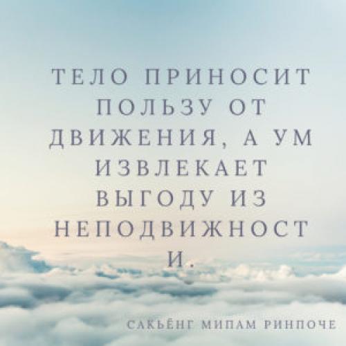 Лучшие цитаты о йоге.