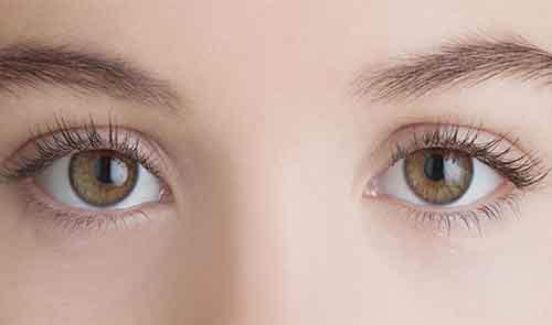 Биологические различия между мужчиной и женщиной. Биологические отличия между мужчинами и женщинами, о которых мало кому известно